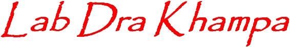 Lab Dra Khampa